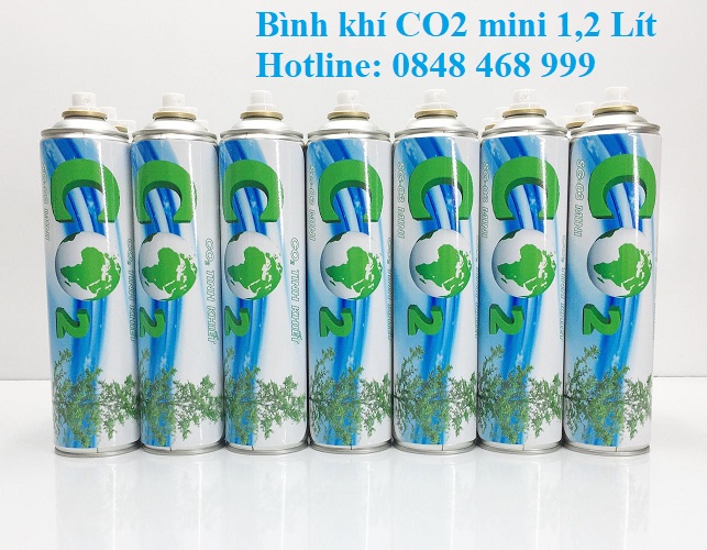 Bình khí CO2 mini 2